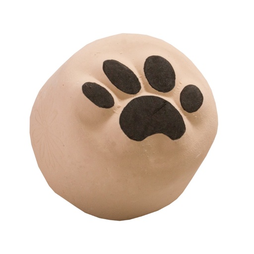 [S112] Bear Paw